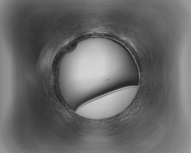 X0000113571159200909180953