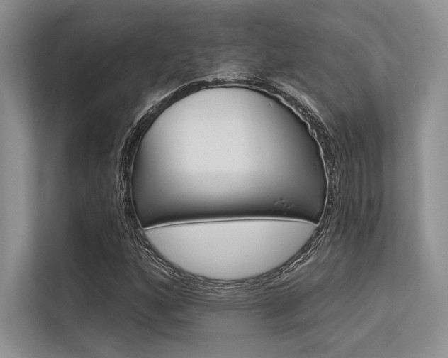 X0000113571160200909180953