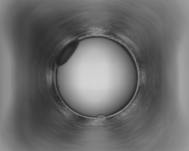 X0000113571161200909180953