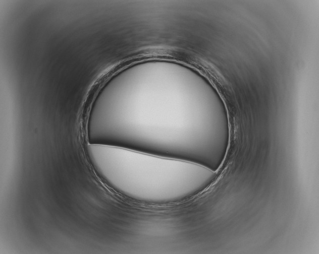 X0000113571164200909180953