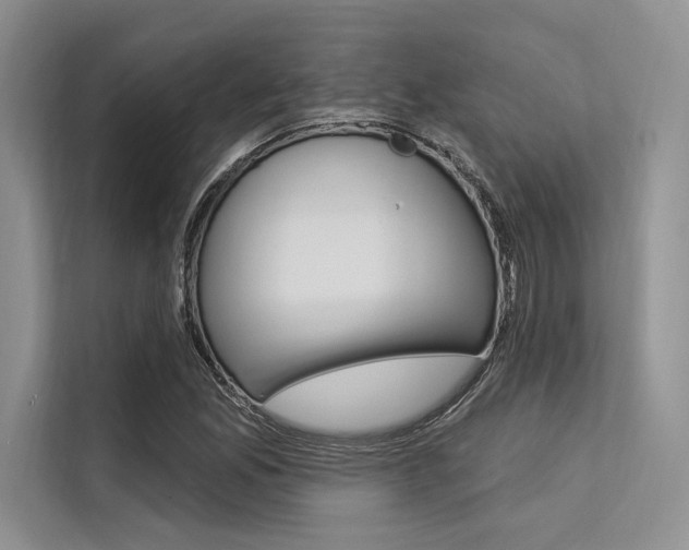 X0000113571165200909180953