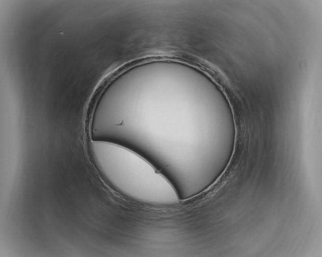 X0000113571168200909180953