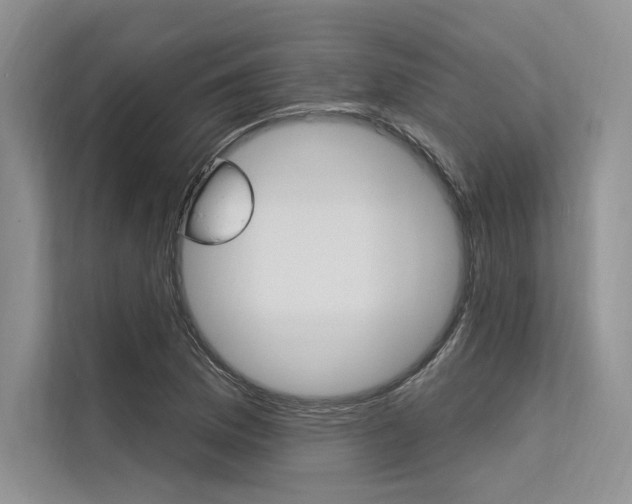 X0000113571169200909180953