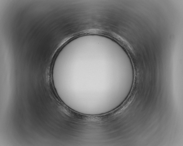 X0000113571170200909180953