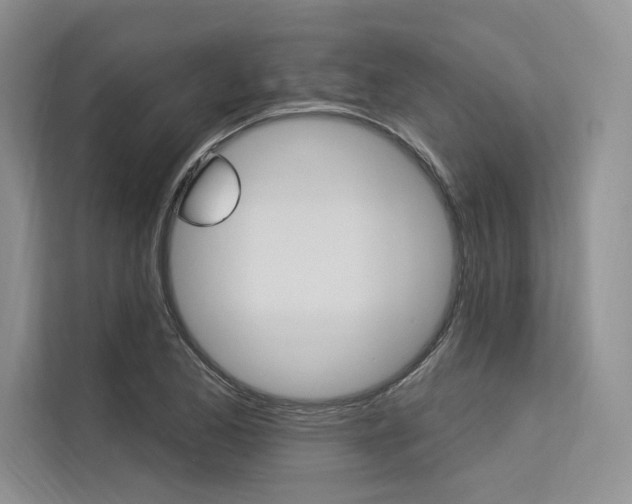 X0000113571173200909180953