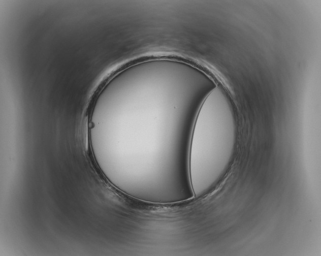 X0000113571175200909180953