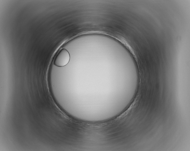 X0000113571181200909180953