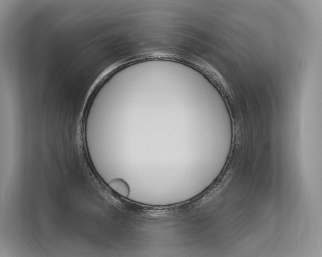 X0000113571182200909180953