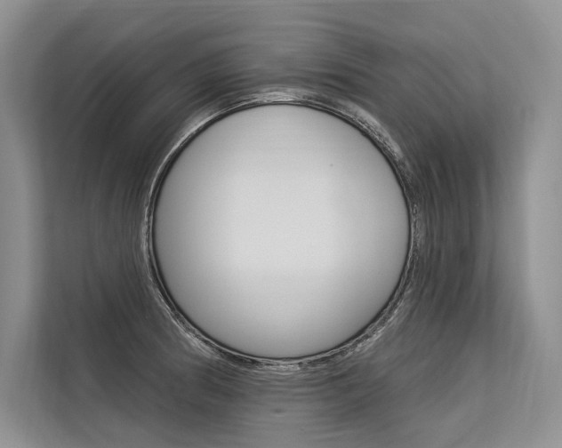 X0000113571186200909180953