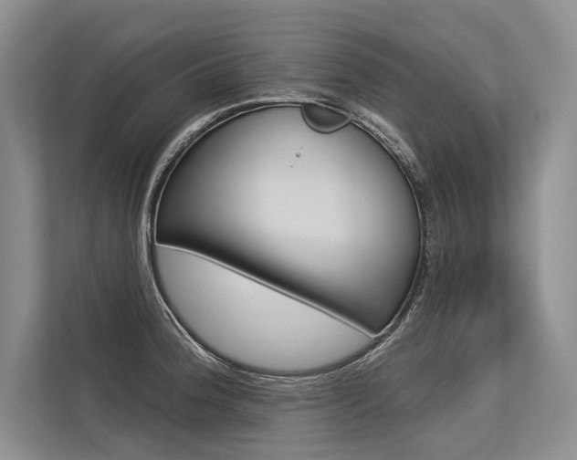 X0000113571188200909180953