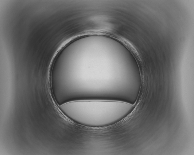 X0000113571192200909180953