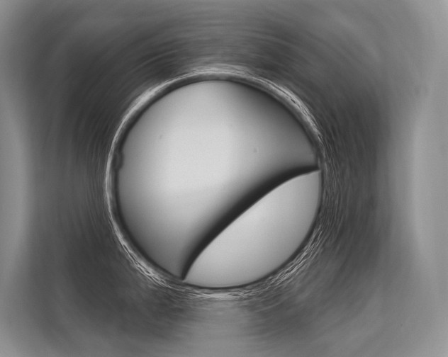 X0000113571199200909180953
