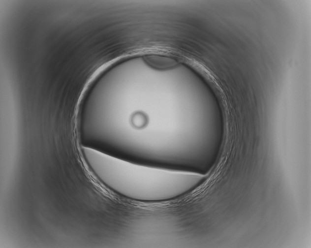 X0000113571200200909180953