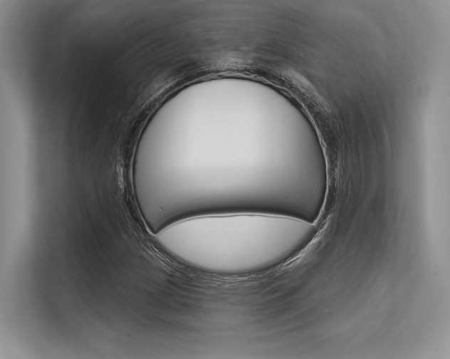 X0000113571209200909180952