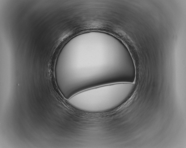 X0000113571210200909180952