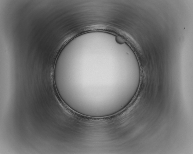 X0000113571225200909180953