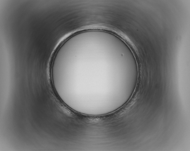 X0000113571230200909180953
