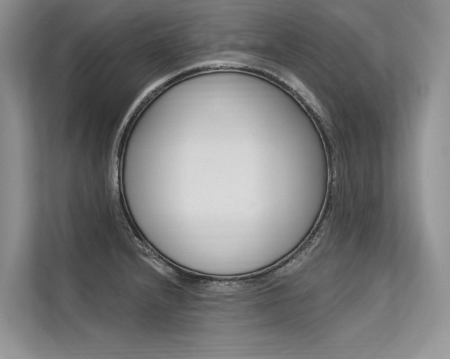 X0000113571232200909180953