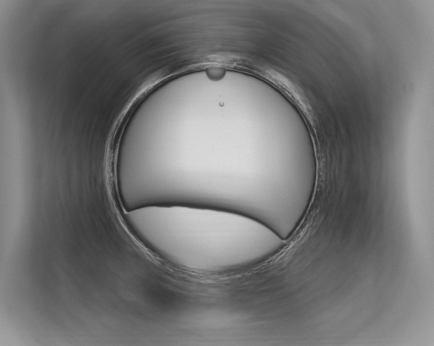 X0000113571235200909180953