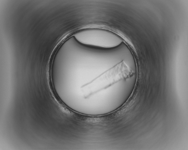 X0000113571237200909180953