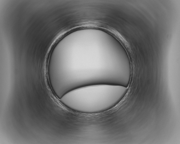 X0000113571240200909180953