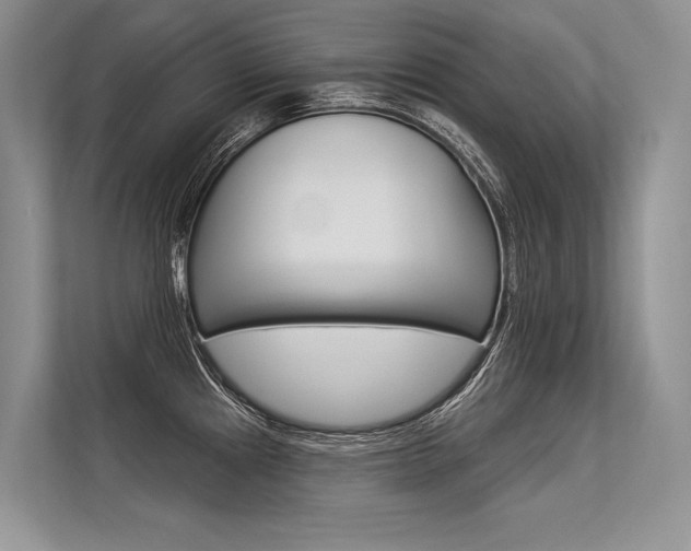 X0000113571241200909180953