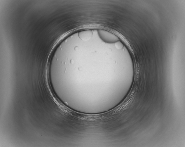 X0000113571245200909180953