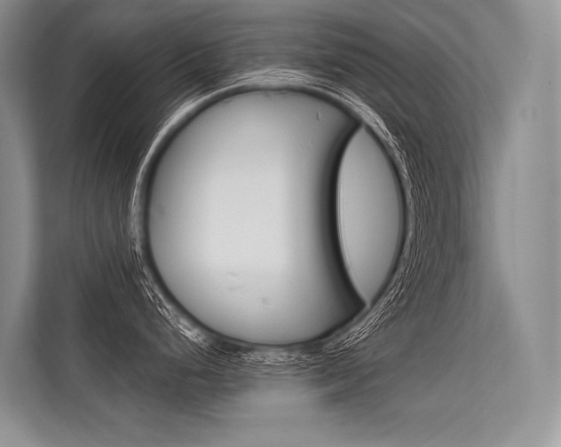 X0000113571248200909180953