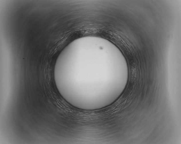 X0000113571250200909180952
