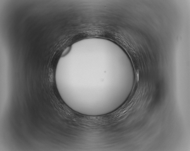 X0000113571251200909180952