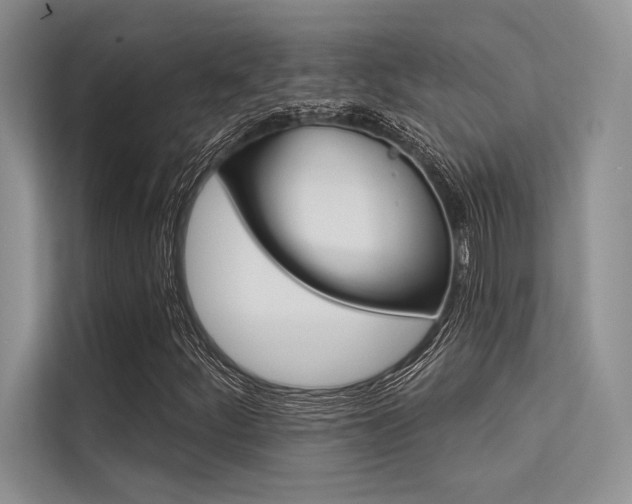 X0000113571252200909180952