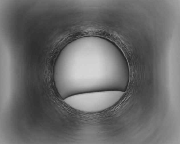 X0000113571253200909180952