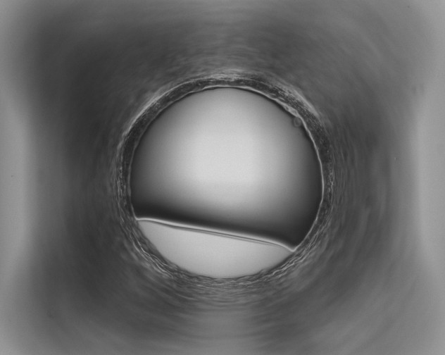 X0000113571256200909180952
