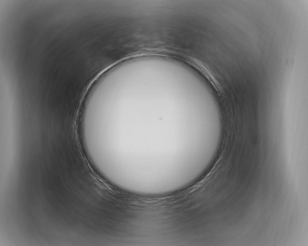 X0000113571260200909180952