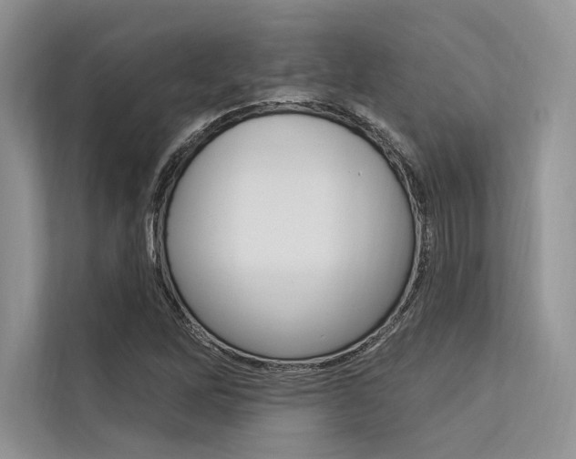 X0000113571262200909180952