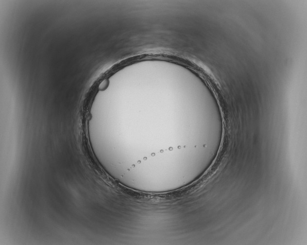 X0000113571263200909180952