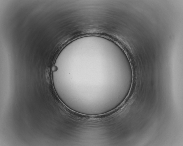 X0000113571265200909180952
