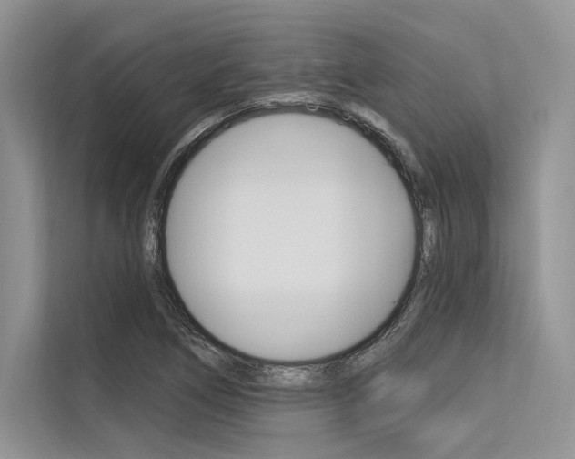 X0000113571266200909180952