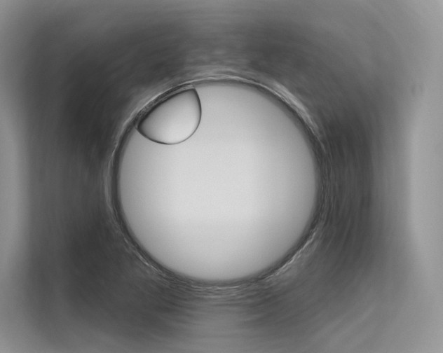 X0000113571269200909180952