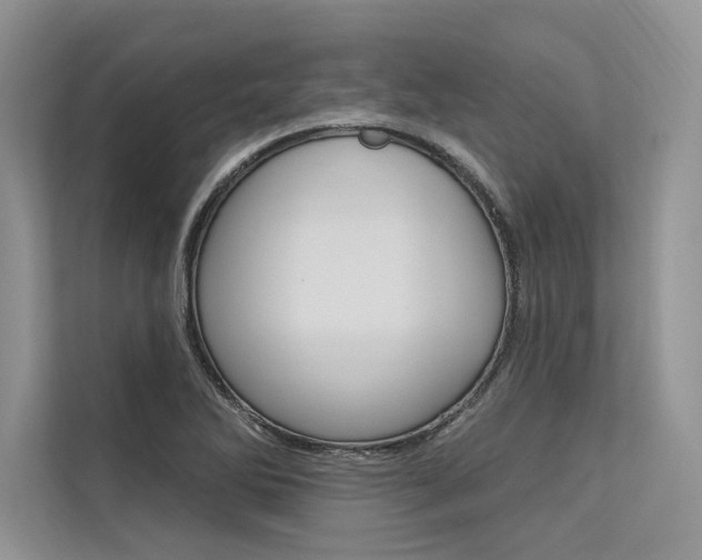 X0000113571270200909180952