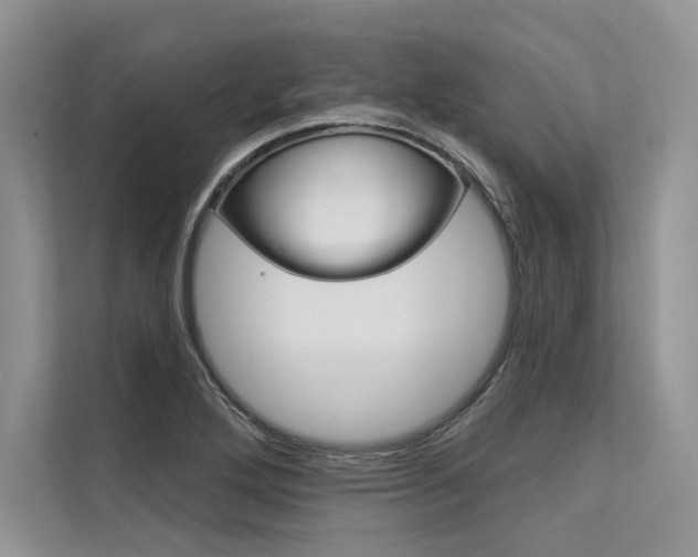 X0000113571272200909180952