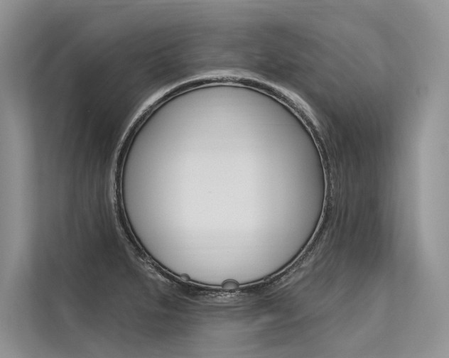 X0000113571279200909180952