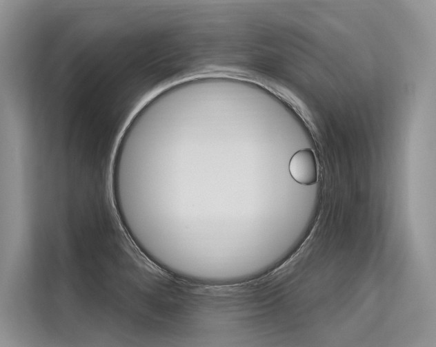 X0000113571280200909180952
