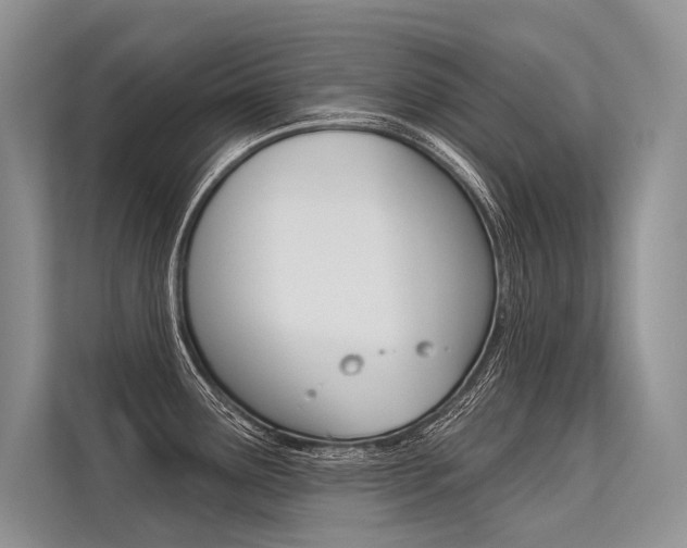 X0000113571291200909180952