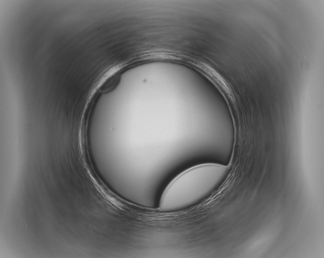 X0000113571293200909180952