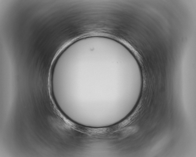 X0000113571294200909180952
