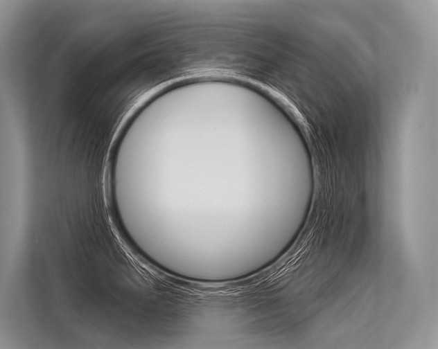 X0000113571295200909180952