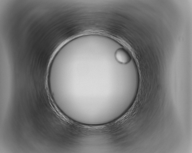 X0000113571296200909180952