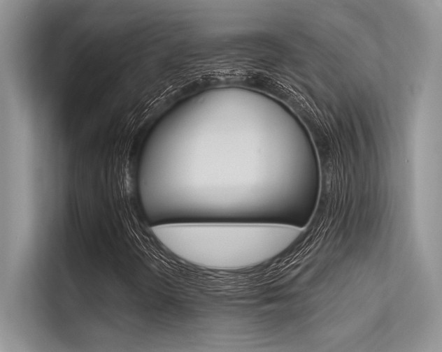 X0000113571298200909180951