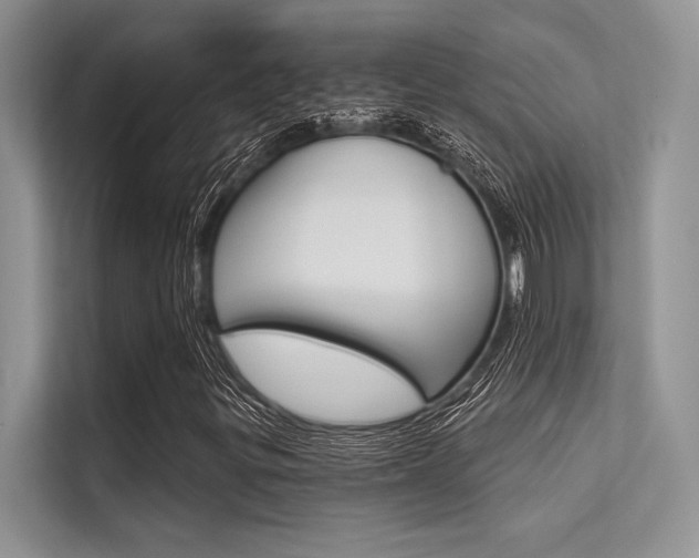 X0000113571299200909180951